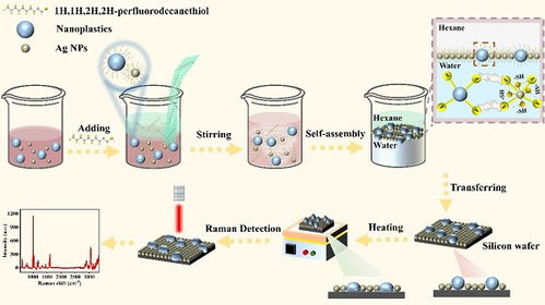 表面增強拉曼散射檢測新策略及其在自然科學研究和試驗發(fā)展中的應用前景